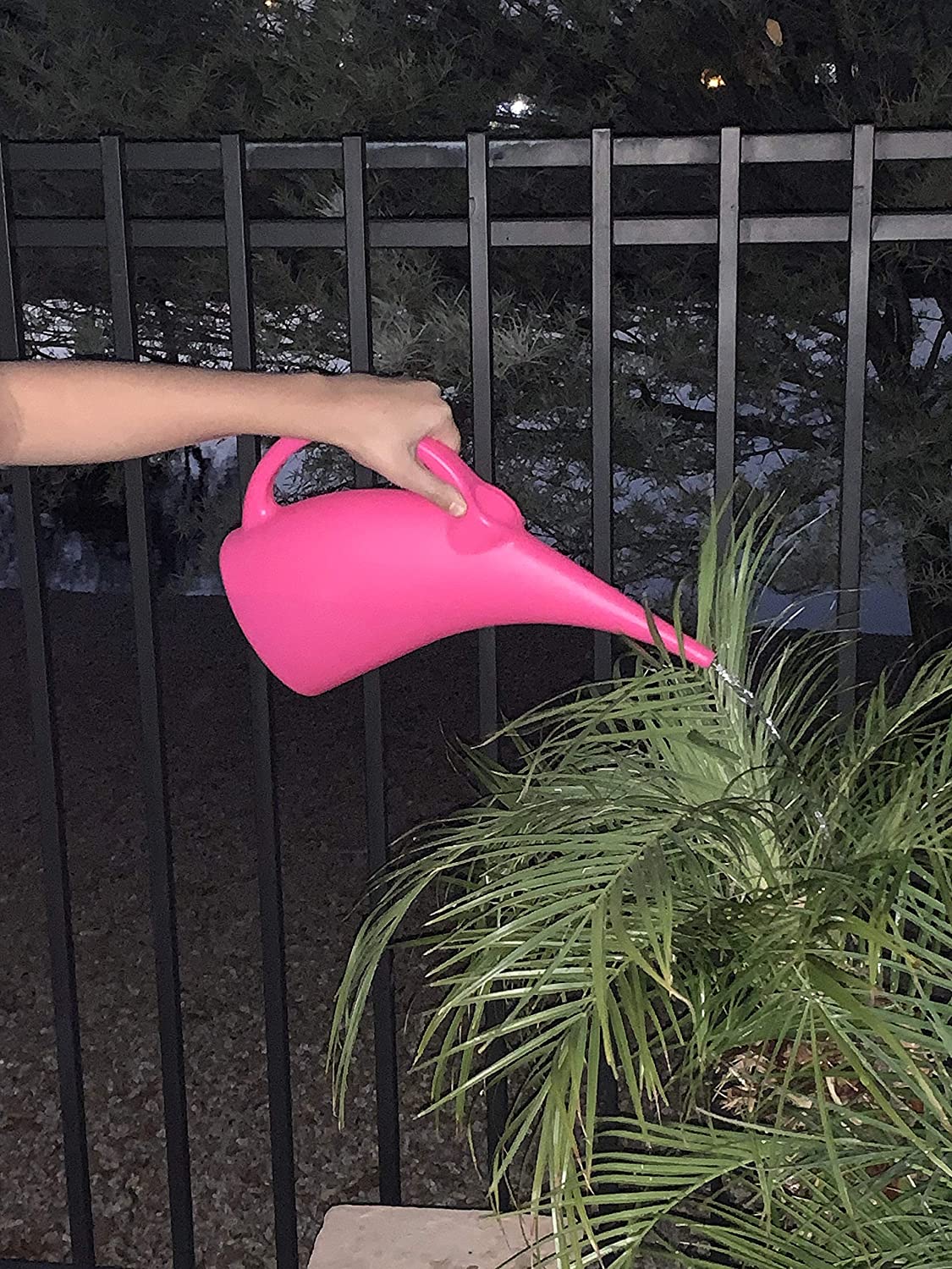 Kool Products Watering Can Indoor | Small Indoor Watering Cans for House Plants | Mini Plant Watering Cans | Plastic Watering Cans (1 Pack) 1/2 Gallon Plant Watering Can BPA Free (Pink) 0.00 freeshipping - Kool Products