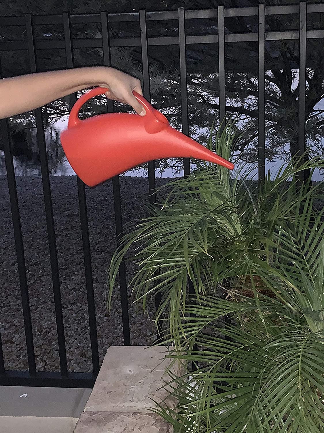 Kool Products Watering Can Indoor | Small Indoor Watering Cans for House Plants | Mini Plant Watering Cans | Plastic Watering Cans (1 Pack) 1/2 Gallon Plant Watering Can BPA Free (Red) 16.99 freeshipping - Kool Products