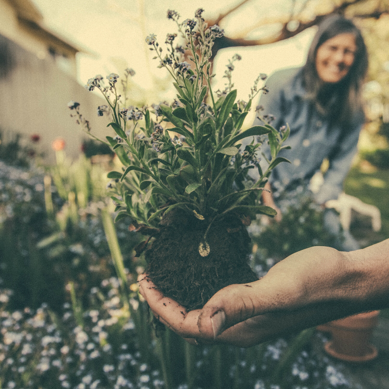 Gardening Tips That You Should Start Learning
