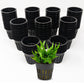 Hydro-Aero Net Pots Set - 100 Pieces of 2 inch Pots for Vertical Gardening