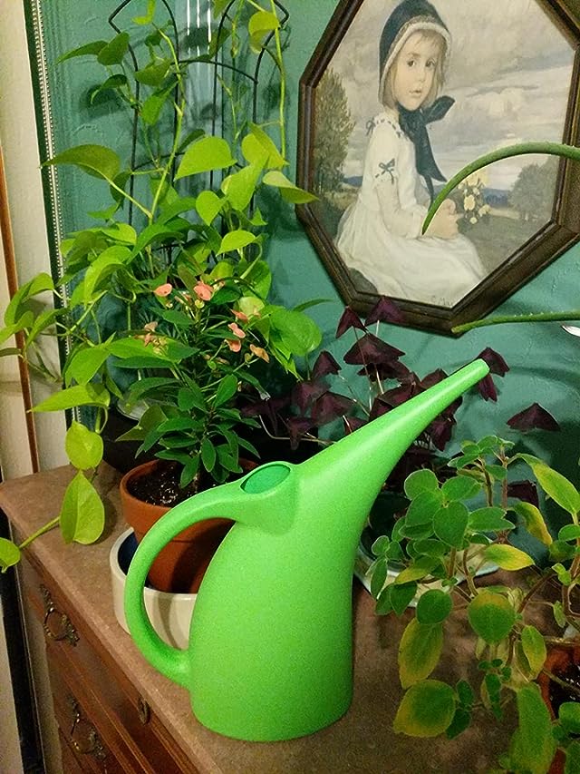 Kool Products 1/2 Gallon Plant Watering Can Indoor Watering Pot - Kool Products