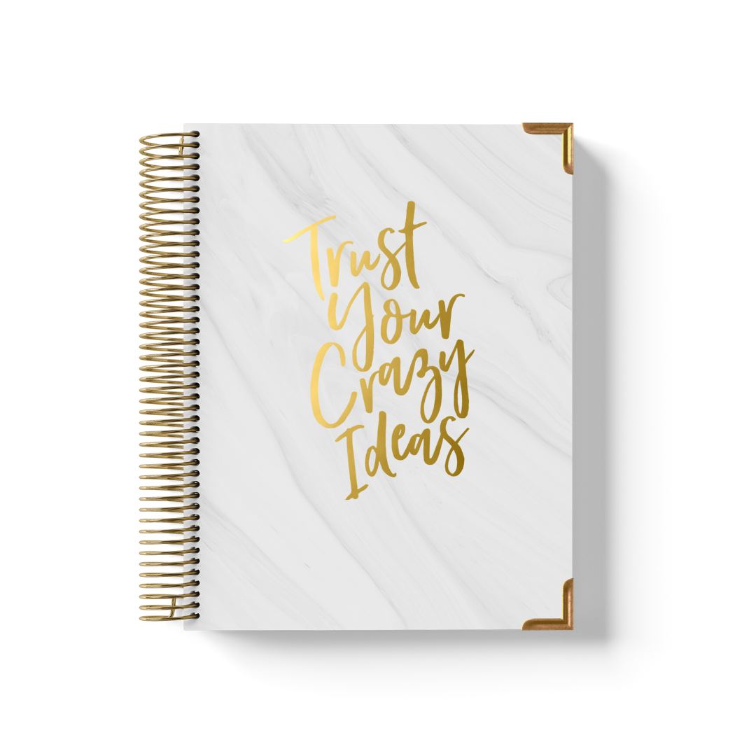Crazy Ideas Teacher Planner by BERTEAU & Co. - Kool Products