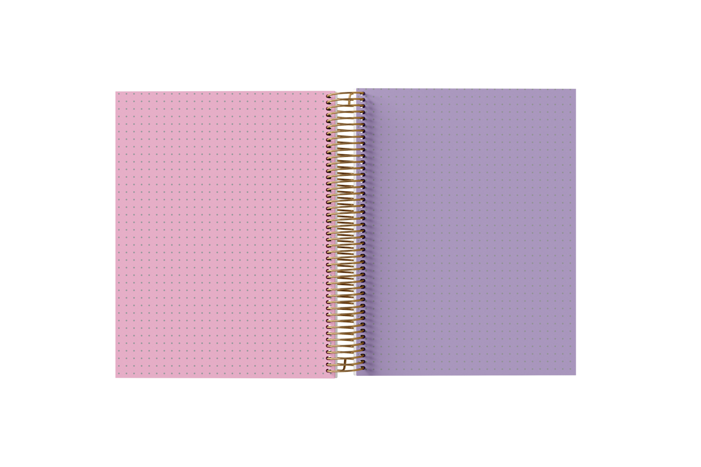 Dotted Grid Paper Holographic Notebook by BERTEAU & Co. - Kool Products