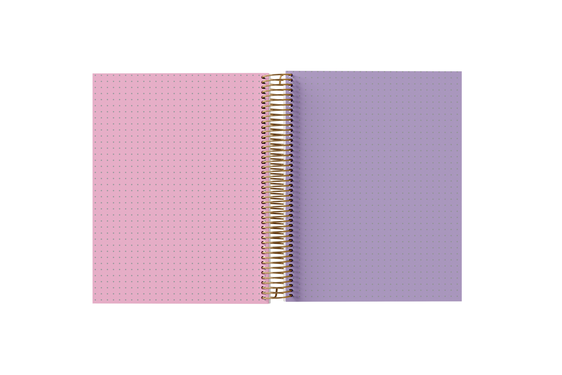 Dotted Grid Paper Holographic Notebook by BERTEAU & Co. - Kool Products