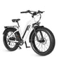 Dirwin Seeker Step-thru Fat Tire E-Bike