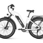 Dirwin Seeker Step-thru Fat Tire E-Bike